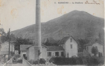Distilleries et lavande fine de Barrême en Haute Provence