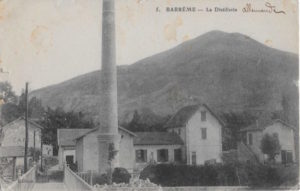 Barreme distilleries and fine lavender in Haute Provence